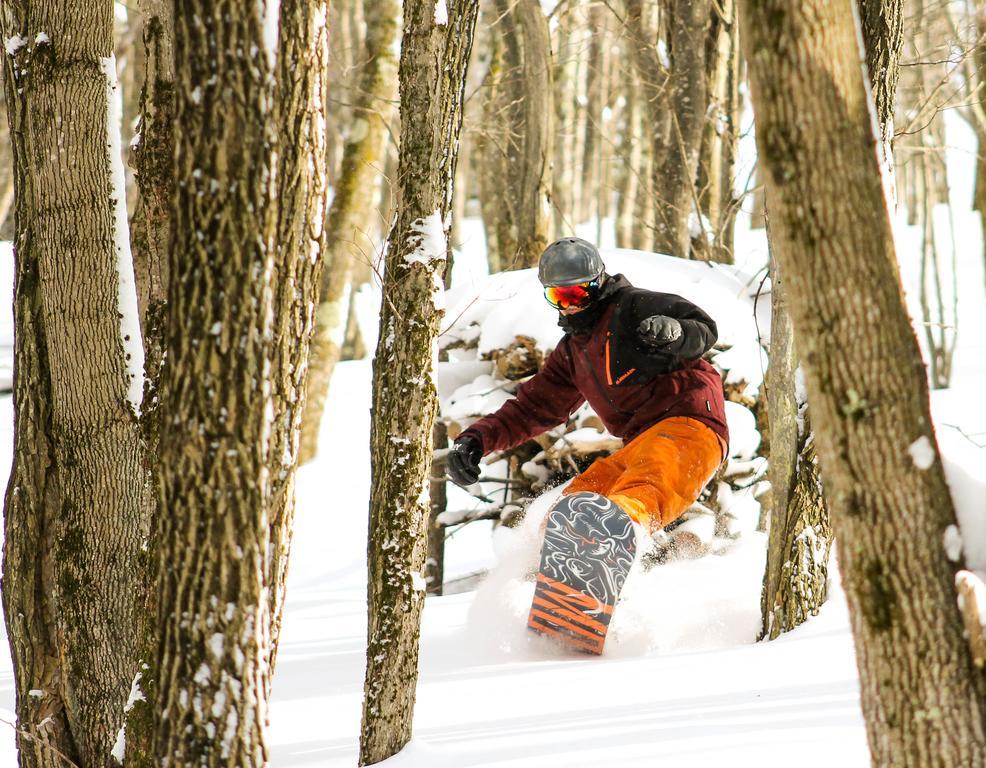 Canaan Valley Resort State Park Davis Esterno foto